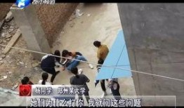 爆料河南商丘事件视频最新,真相与争议交织的舆论漩涡