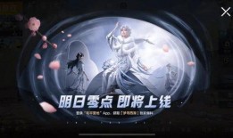 海星皮肤爆料视频大全集,揭秘神秘海洋生物的华丽蜕变