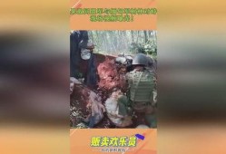 缅甸爆料视频最新版,政权动荡背后的真相与挑战