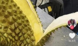 榴莲爆料视频在线观看,揭秘网络红人幕后真相