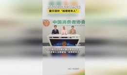 蛋仔最新爆料 公告,官方公告揭秘新内容与更新