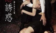 布拉芙夫人手机在线观看,揭秘神秘女性的情感世界