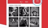 爆料好玩视频下载软件免费,一键获取海量高清内容