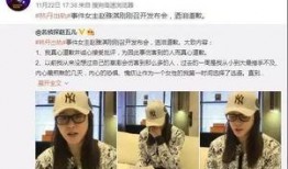 孙寒华最新爆料新闻,揭秘娱乐圈惊人内幕