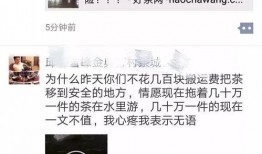 爆料热门 视频在线观看,在线观看背后的精彩故事