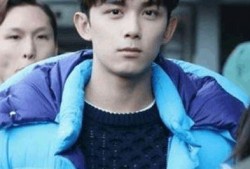 吃瓜娱乐圈吴磊百度云下载,独家百度云下载，揭秘明星幕后故事